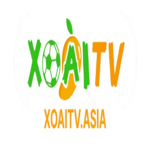 xoaitvasia is swapping clothes online from 