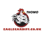 ĐÁ GÀ TRỰC TIẾP VIN eaglecardiff is swapping clothes online from 