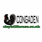 congadenclay is swapping clothes online from 