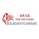  Đá Gà Trực Tiếp Thomo is swapping clothes online from 