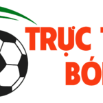 tructiepbongdait is swapping clothes online from 