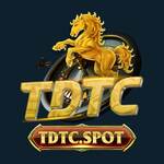 tdtcspot is swapping clothes online from 