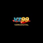 vz99digital is swapping clothes online from 