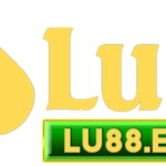 lu88earthvd is swapping clothes online from 