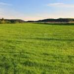 reeltorofficial is swapping clothes online from 