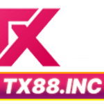 tx88incfc is swapping clothes online from 