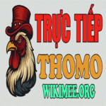 dagatructiepwiki is swapping clothes online from 