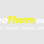 bl555autos is swapping clothes online from 