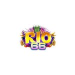 rio66cncom is swapping clothes online from 