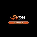 sv388kkart is swapping clothes online from 