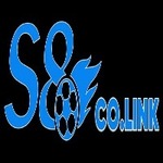 s8colink is swapping clothes online from 
