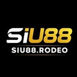 siu88rodeo is swapping clothes online from 