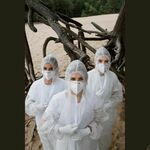 botanyroad is swapping clothes online from 