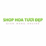 Shop hoa Tươi Đẹp is swapping clothes online from 