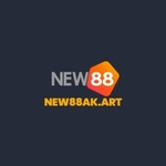 new88akart is swapping clothes online from 
