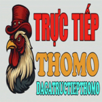 dagatructiepthomobiz is swapping clothes online from 