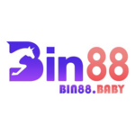 bin88baby is swapping clothes online from 