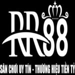 rr88pet1 is swapping clothes online from 