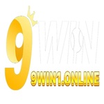9win1online is swapping clothes online from 