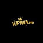vipwinpro is swapping clothes online from 