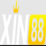 xin88limitedvn is swapping clothes online from 