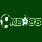 tylekeonhacai is swapping clothes online from 