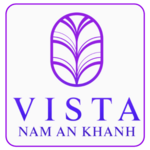 vistainsight is swapping clothes online from 