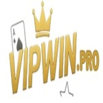 Vipwin pro is swapping clothes online from 