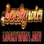 luckywin1dev is swapping clothes online from 