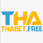 Thabet is swapping clothes online from 