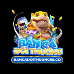 bcdt68co is swapping clothes online from 