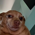 appliquix is swapping clothes online from 