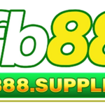 fb88suppliesjg is swapping clothes online from 