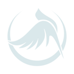 chimcanhquytran is swapping clothes online from 