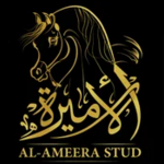 alameerastud1 is swapping clothes online from 