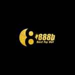 888B is swapping clothes online from 