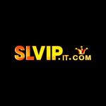 slvipitcom is swapping clothes online from 