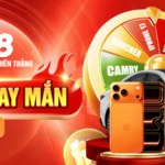 abc8artcocom is swapping clothes online from 