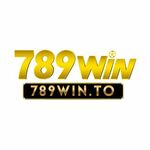 789winto is swapping clothes online from 