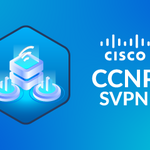 detofo is swapping clothes online from 