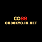 co88kyc is swapping clothes online from 