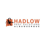 hadlowpestsolutionsalbuquerque is swapping clothes online from 