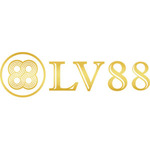 lv88nyccom is swapping clothes online from 