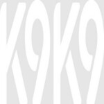 K9K9 is swapping clothes online from 