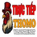 dagatructiepwils is swapping clothes online from 