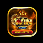 xoso66za is swapping clothes online from  Vietnam, 