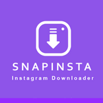 SnapInsta – Instagram Downloader to Save Video, Reels, Stories, and Photos is swapping clothes online from 