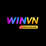 WINVN SA is swapping clothes online from 