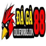 daga88coll is swapping clothes online from 