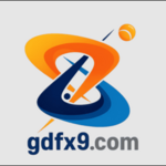 gdfx9com is swapping clothes online from 
